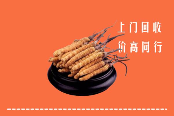 高价求购：雨山区回收散虫草